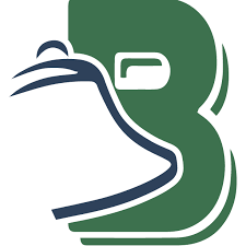 bellsocialization.com